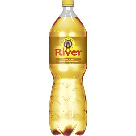 River Ginger Ale tonik 6x2L